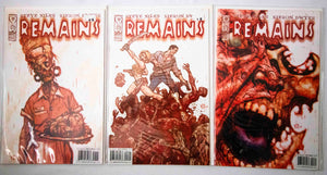 Comic Book Horror - IDW Comics:  Remains - Issues #1-3 - Kieron Dwyer / Steve Niles - Horror / Zombie / Humor - USED / LIKE NEW - 3 Book Lot!